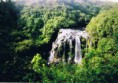 /album/galeria-de-fotos%3a-ilha-de-reuni%c3%a3o/reuni%c3%a3o-11-jpg/
